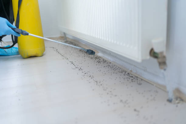 Best Wildlife Control Services  in Leawood, KS